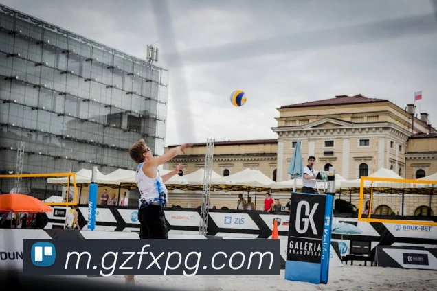 App Interface Preview